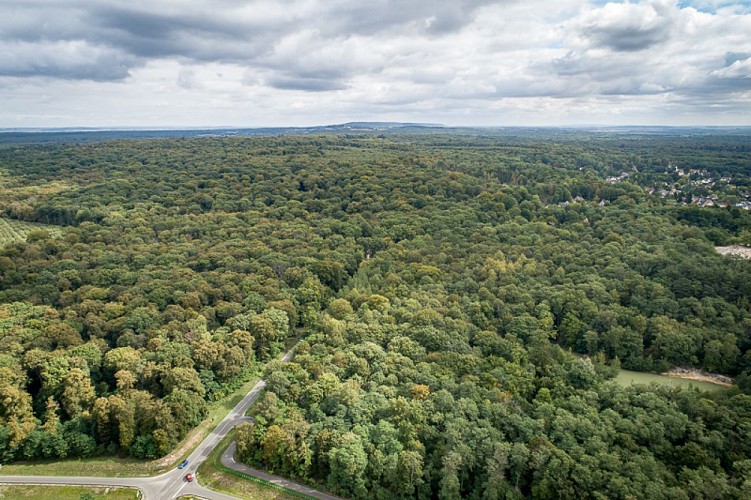 Von kleinen Straßen zu Wegen, entdecken wir den Wald von Halatte (V2)