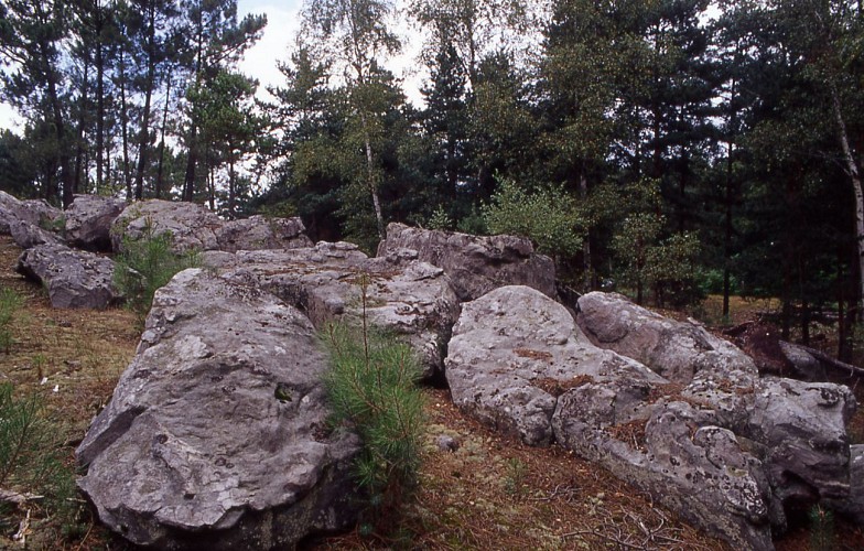 Plailly, des champs aux bois