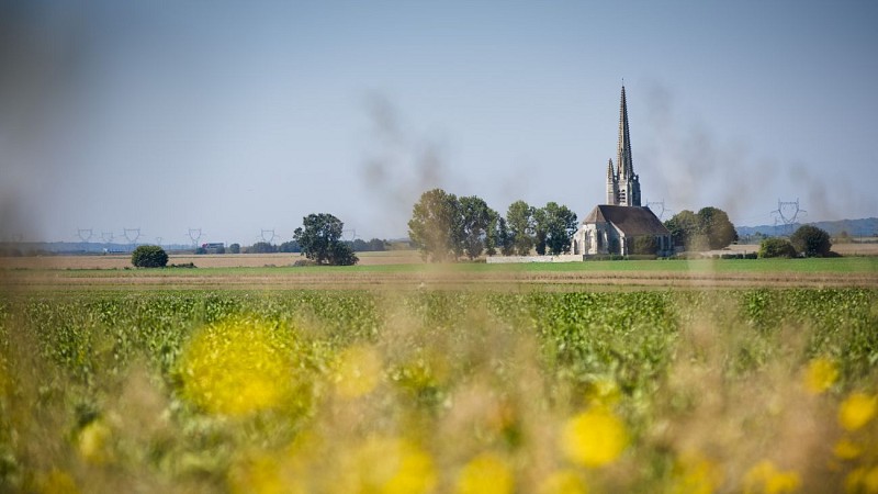 Entdecken wir Montagny-Ste-Félicité.