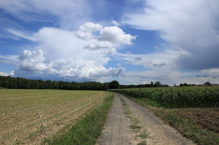 Unias - A la découverte des bords de Loire_Unias