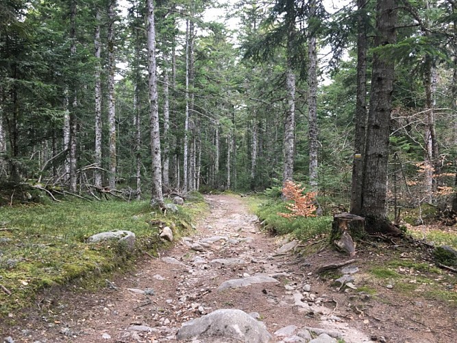 Parcours 15 - La truite