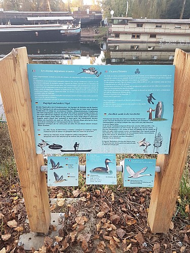 Panneau d'information du circuit