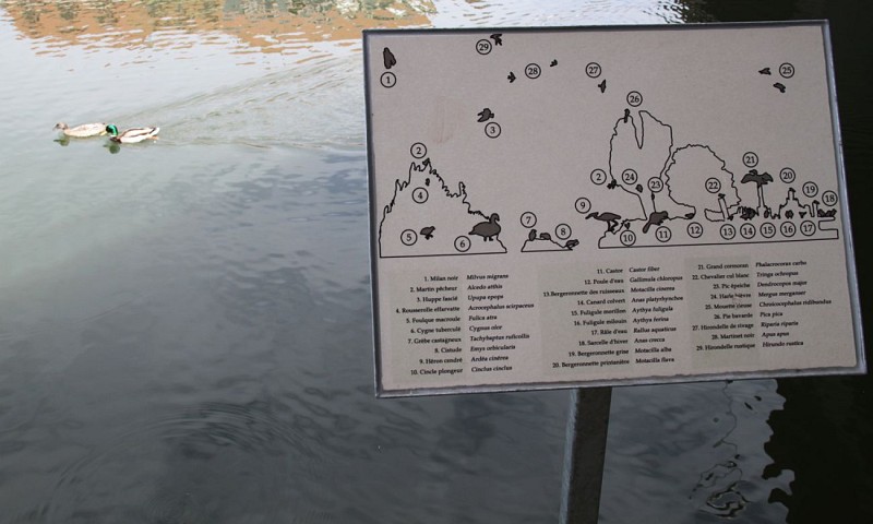 Panneau d'information du circuit