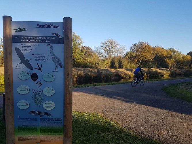 Panneau d'information du circuit