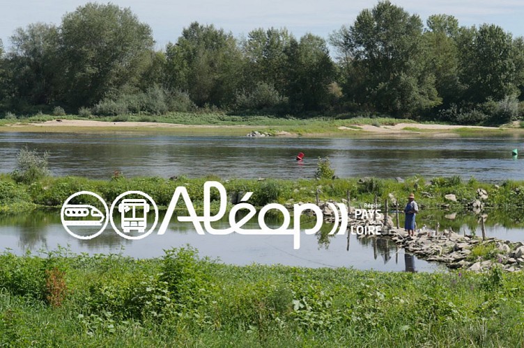 De ANGERS à CHALONNES-SUR-LOIRE en 2 jours