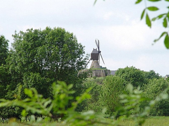 De ANGERS à CHALONNES-SUR-LOIRE en 2 jours