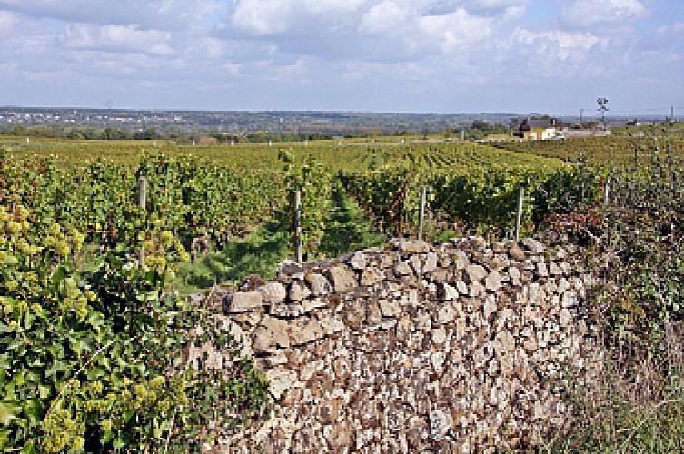 De ANGERS à CHALONNES-SUR-LOIRE en 2 jours