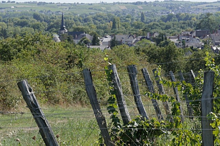 De ANGERS à CHALONNES-SUR-LOIRE en 2 jours