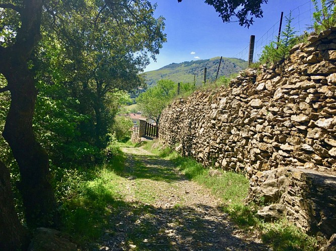 ESPACE TRAIL MONTAGNES DU CAROUX - PARCOURS 1 - LE LAUZET / SOURCES DU JAUR