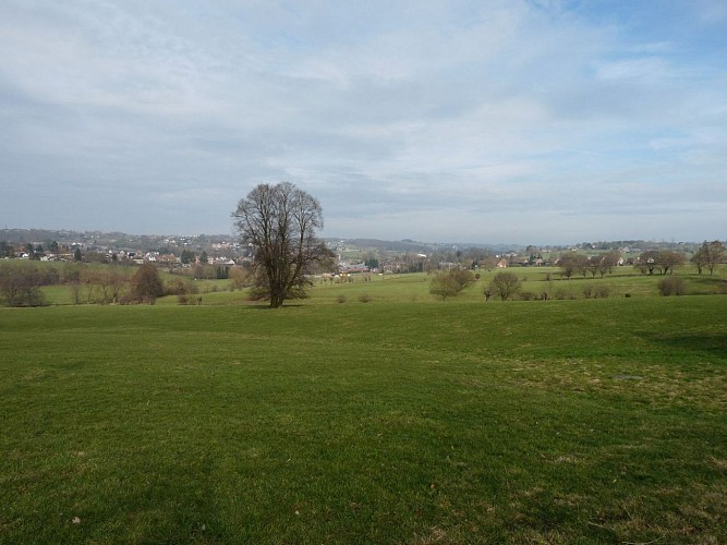 Balade de Mme paulus_Paysage Soumagne