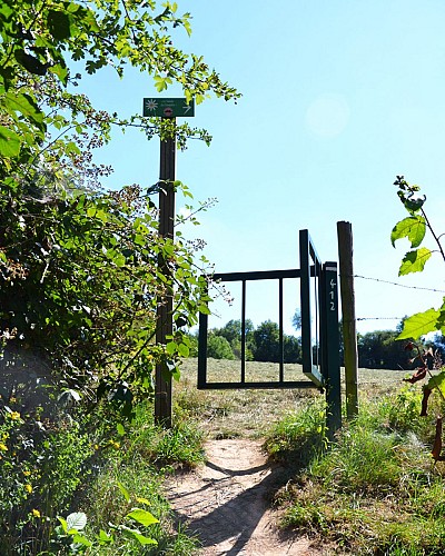 Echalier_soumagne_vallee_balade_du_champetre
