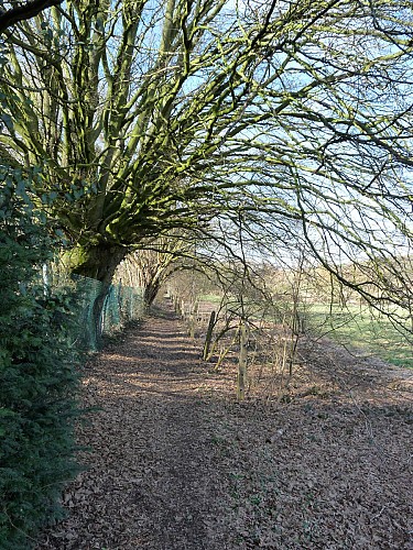 Promenade Tour des terrils Soumagne