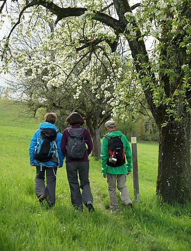 LA CHAPELLE-AUX-CHOUX / Circuit des trois provinces