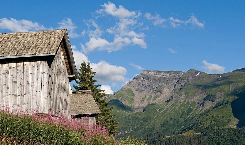 Grimpée d'Avoriaz / Variante col de la Joux Verte