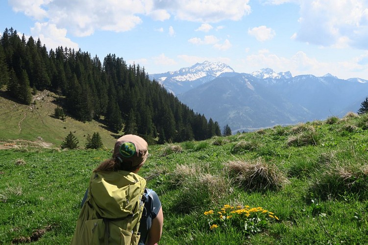 Randonnée pédestre : Tour du Mont Ouzon_Le Biot
