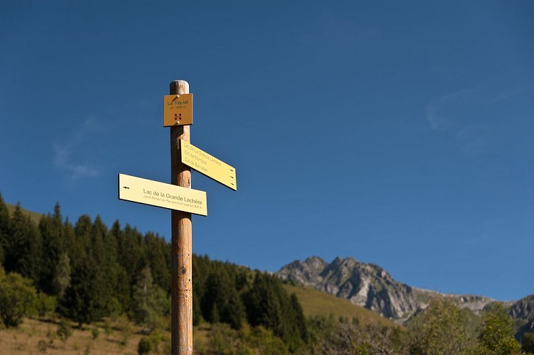 Balade des Demoiselles - Cheminées de Fée (18)