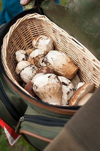 La Boucle du Lac de la Grande Léchère (3)