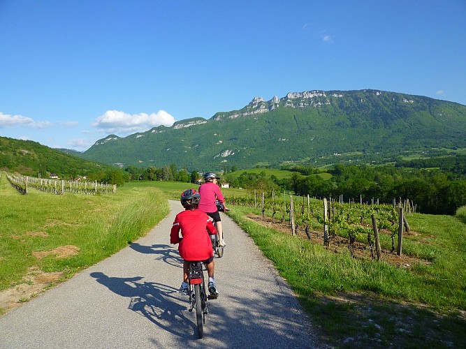 Fietsparcours: Circuit du Vignoble