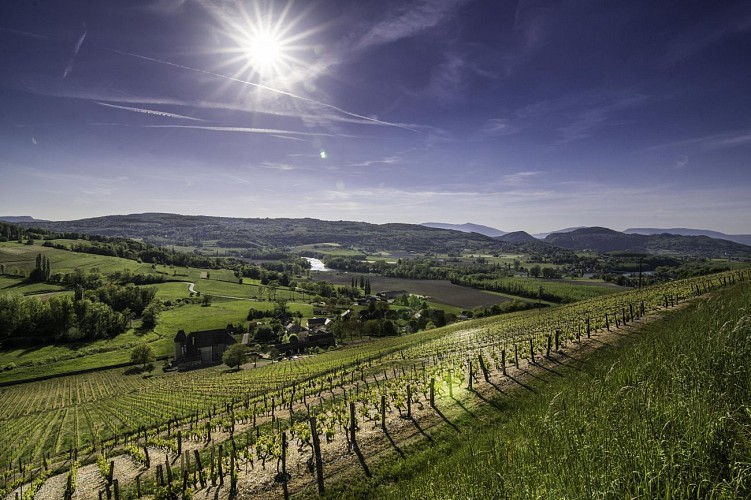 Cycling circuit: Tour de la Charvaz