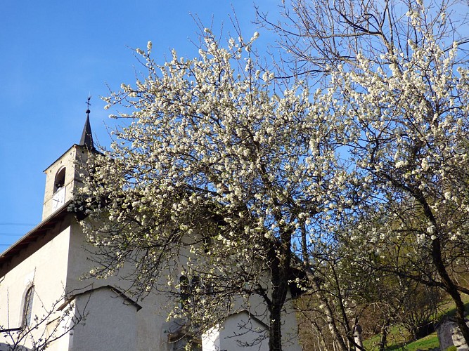 Le tour du bois de l'église