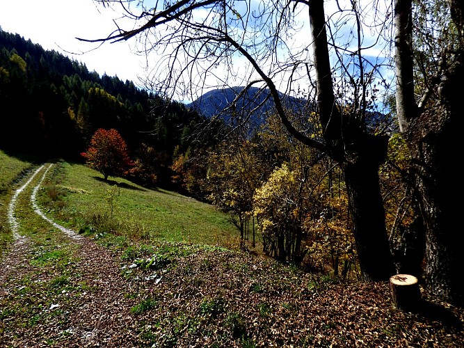 Landry - le Martorey -Le Villaret