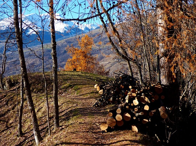 Landry - le Martorey -Le Villaret