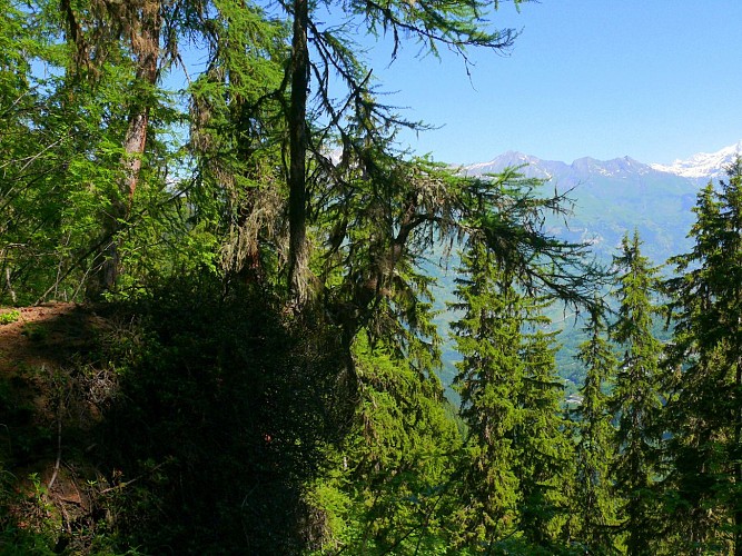 Nancroix - le Thovex – Grandbois