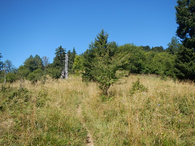 Hiking loop: le Pralère