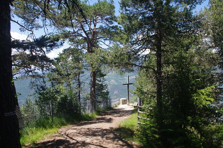 Feissons's cross loop