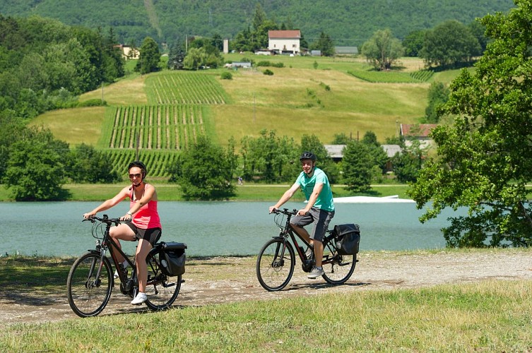Cyclistes sur ViaRhôna à Seyssel