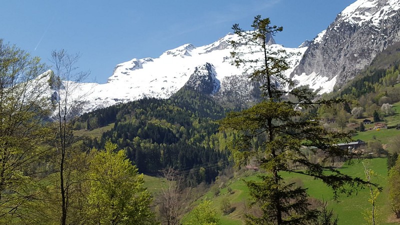 Cycling route: Col de Plan Bois