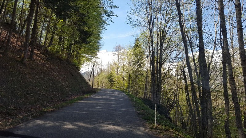 Fietsroute: Col de Plan Bois