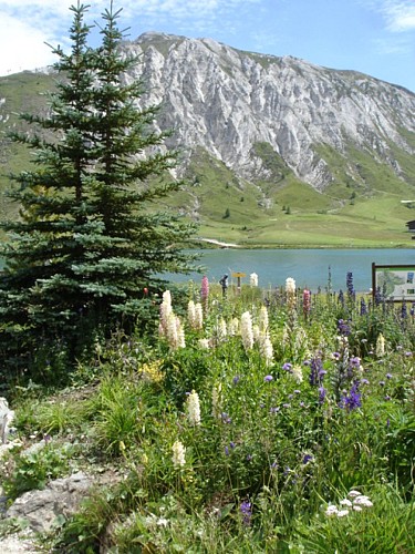 Tignes/Val Claret cyclo klim