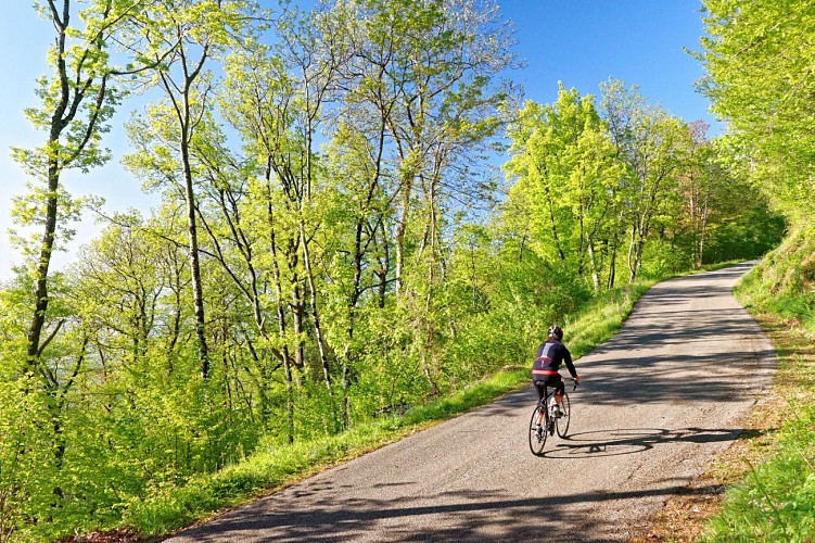 Fietsende beklimming van de Mont du Chat estafette (kant Le Bourget-du-Lac)