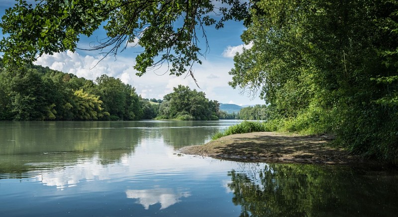 A la découverte de la lône d'en l'Ile