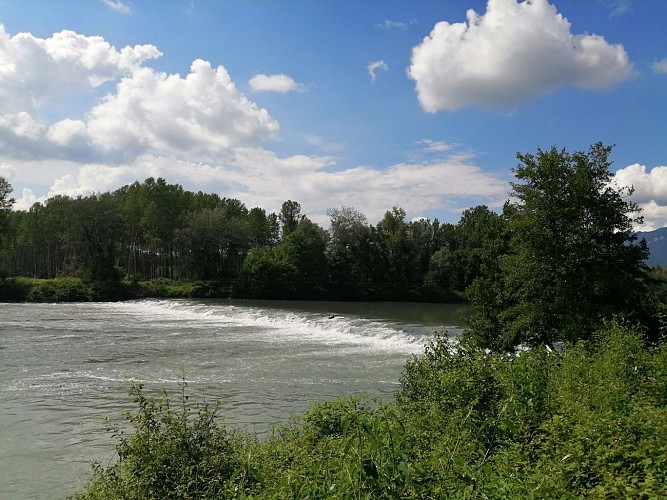 Lucey Discovery Trail