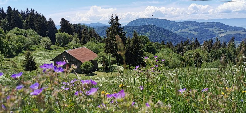 "Les Chalets de Pertuis" Hike