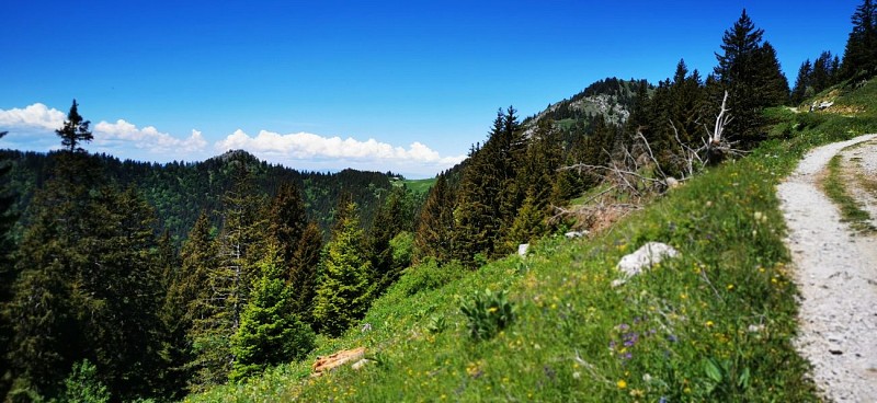 "Les Chalets de Pertuis" Hike