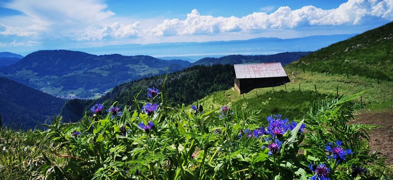 "Les Chalets de Pertuis" Hike