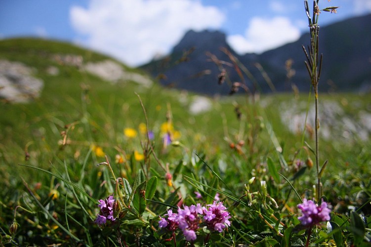 Hiking: Refuge de la Bombardellaz via Lac de Tardevant