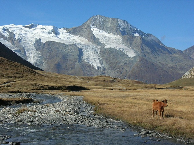Haute Route Glaciaire - 4-daagse trektocht