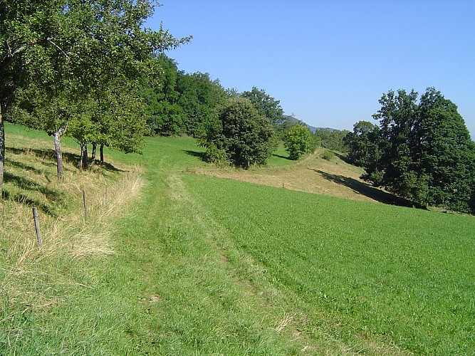 La Chapelle de Ligny