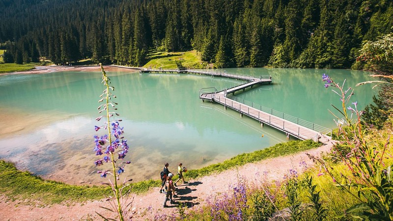 Promenade confort Torrent et lac de la Rosière