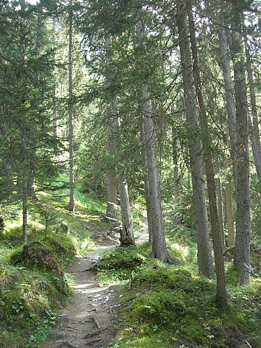 Torrent et lac de la Rosière