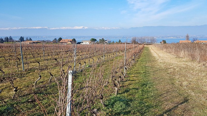 Hermance cross-border loop