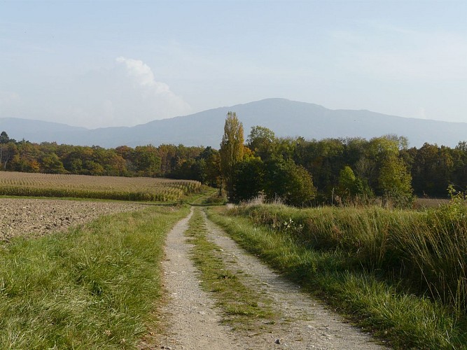 Boucle Transfrontalière d'Hermance