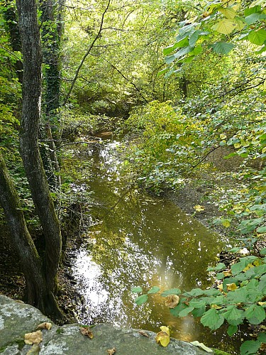 Boucle Transfrontalière d'Hermance