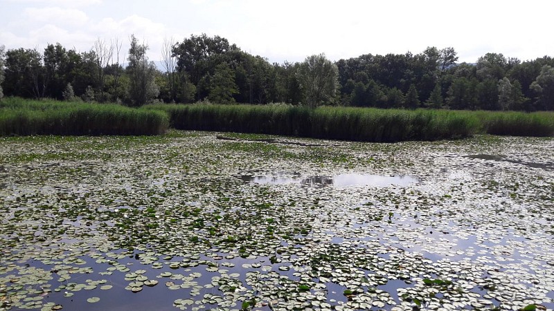 Stagno di Crosagny Passeggiata facile