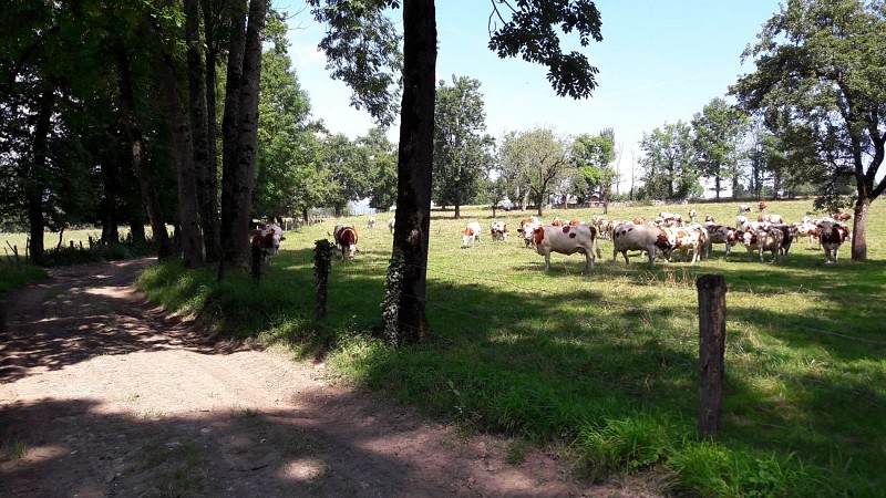 Stagno di Crosagny Passeggiata facile