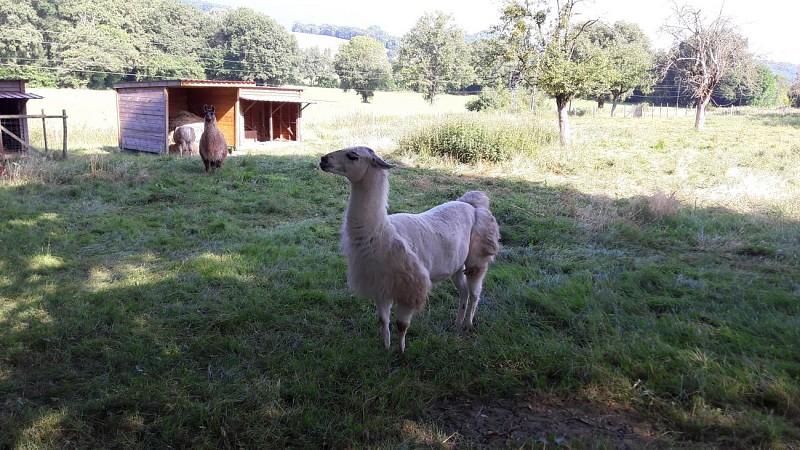 Stagno di Crosagny Passeggiata facile